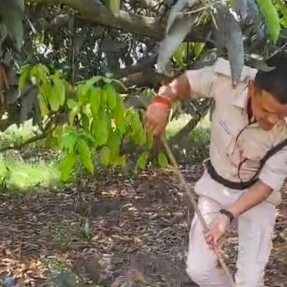 अवैध शराब अड्डों पर छापेमारी , 800 लीटर शराब जब्त:शेखपुरा में 6 भट्ठियां ध्वस्त, कारोबारी फरार; सामग्री बरामद