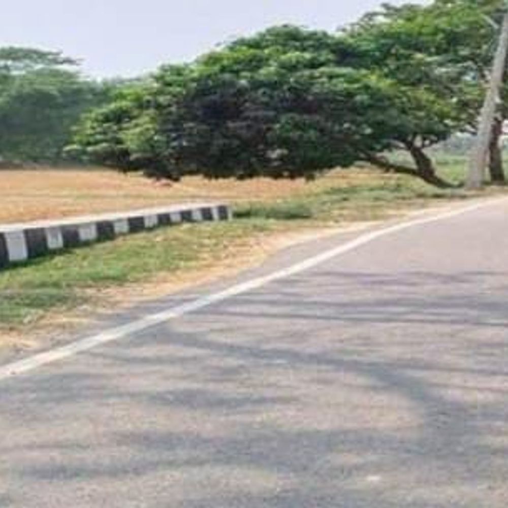 मधुबनी में 656 KM ग्रामीण सड़कों का कार्य पूरा:जिला राज्य के अग्रणी जिलों में शामिल, अर्थव्यवस्था को मिल रही गति