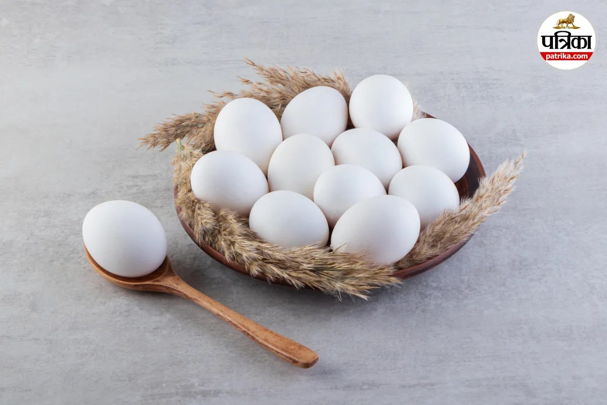 Eggs Benefits for Health: हार्वर्ड के डॉक्टर ने बताया अंडे का असली सच, 14 दिनों तक रोज खाएं 1 अंडा, फिर शरीर में जो बदलाव होगा..