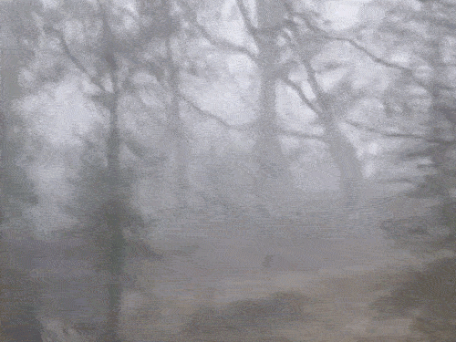 देशभर में मार्च की शुरुआत में तेज गर्मी:MP-छत्तीसगढ़ और राजस्थान के कई शहरों में पारा 40°C के करीब; पहाड़ों में बारिश-बर्फबारी के आसार