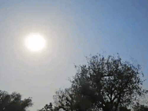 छत्तीसगढ़ में 2 दिन बाद बारिश का अलर्ट:उत्तर-मध्य हिस्सों में बादल छाएंगे, गरज-चमक के साथ तेज हवा चलेगी, राजनांदगांव में 39° पारा