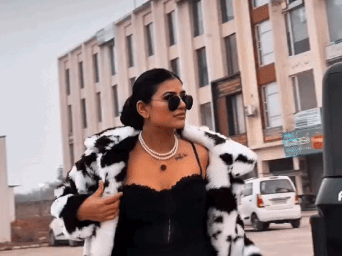 पंजाबी मॉडल रह चुकी ‘कंट्रोवर्सी गर्ल’:लाइव होकर गालियां दे चुकी, प्यार में धोखा मिला, शराब-सिगरेट के VIDEO से निहंग के टारगेट पर आई