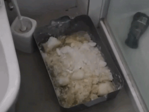 इंदिरा के हत्यारे का भतीजा निकाला न्यूजीलैंड का बड़ा ड्रग-तस्कर:22 साल की सजा हो चुकी, दावा- पहचान छुपाने की याचिका वापस ली