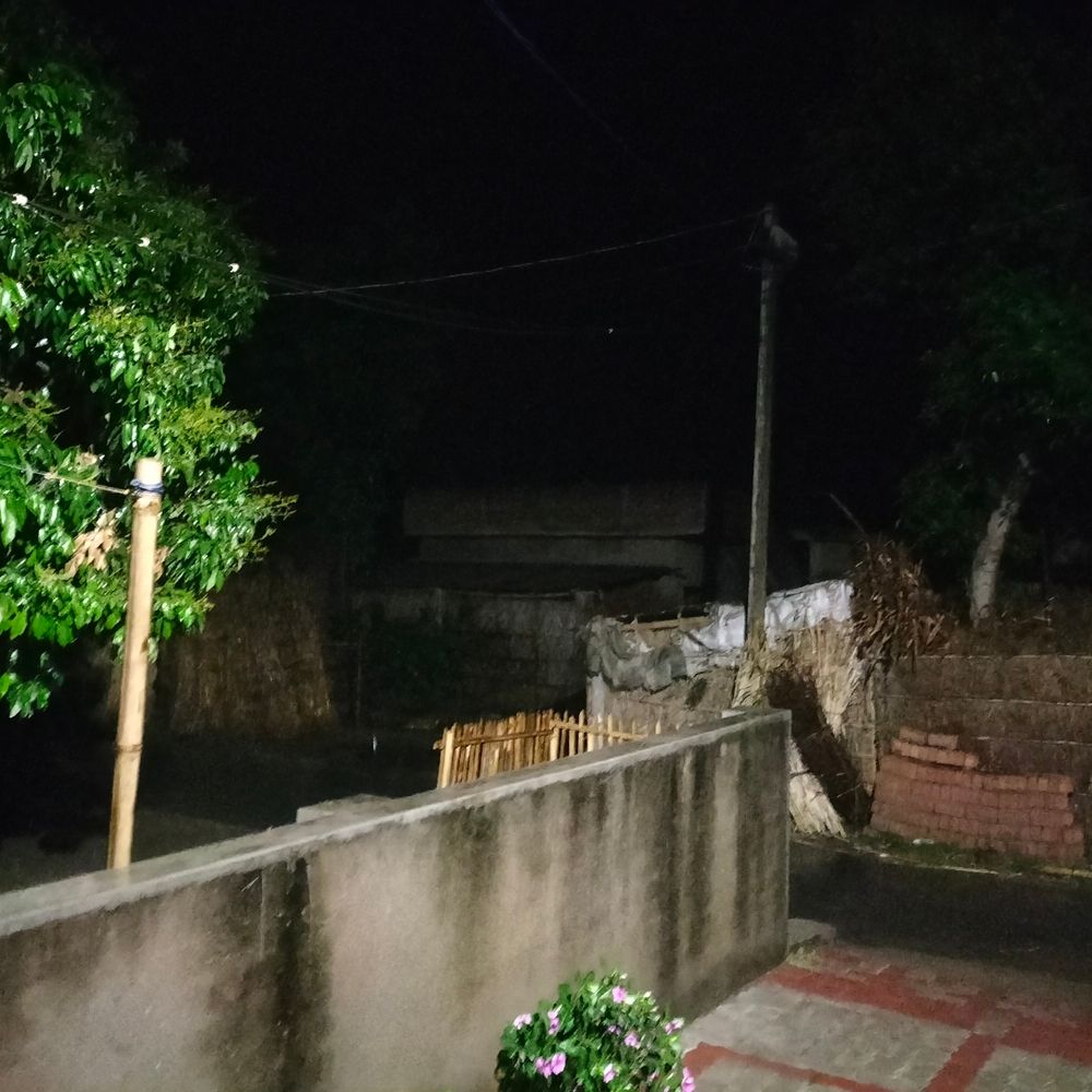 बेगूसराय में तेज बारिश-हवा से फसलों पर मंडराया खतरा:सदर प्रखंड में मौसम बदलने से किसानों को भारी नुकसान होने का अनुमान