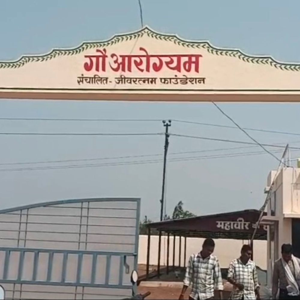 राजनांदगांव में ‘गौ आरोग्यम’ शुरू, बीमार गायों का होगा इलाज:आधुनिक सुविधाओं के साथ बनेगी मरीजों जैसी फाइल, 24 घंटे देखभाल