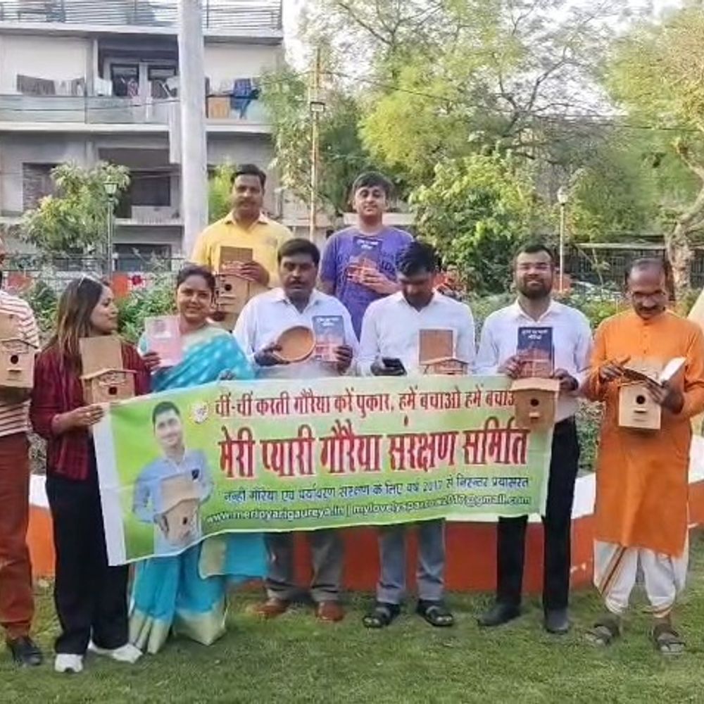गौरैया बचाने के लिए गोमती नगर में जागरूकता कार्यक्रम:श्री राम पार्क में लगाए गए कृत्रिम घोंसले और दाना-पानी