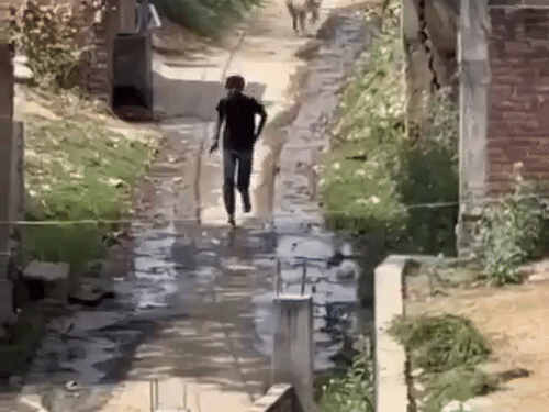 दिनदहाड़े फायरिंग करने वाला कुख्यात अपराधी:प्रयागराज में छात्र पर हमला कर लूटा था आईफोन-कैश, गोहत्या का भी आरोपी