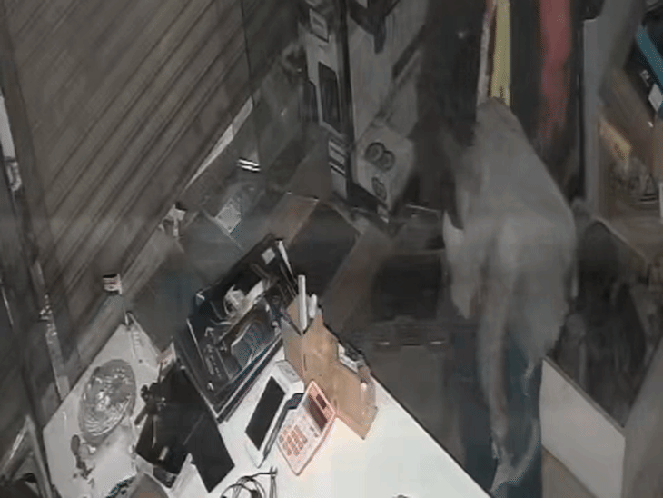 सतना में सेंट्रल लॉक तोड़कर दुकान से कैश, लैपटॉप चोरी:वारदात CCTV में कैद, नकाबपोश युवक दुकान में दिखा