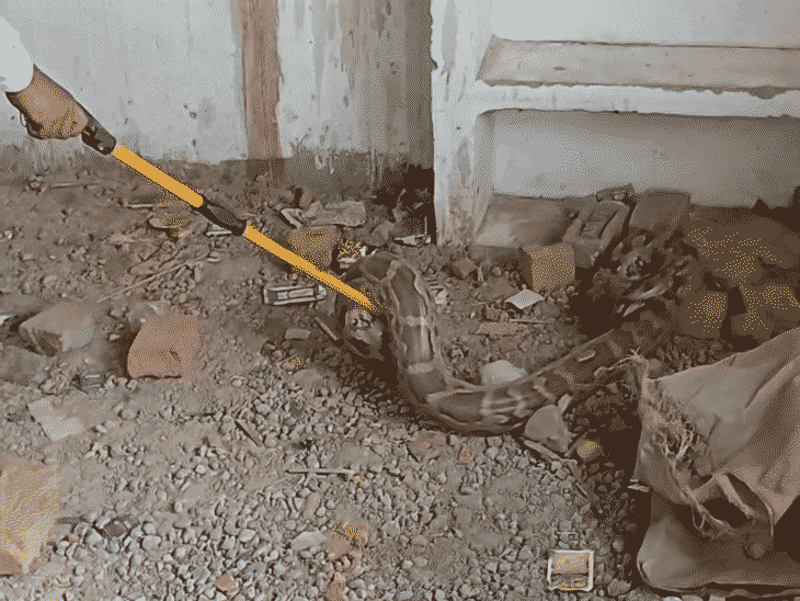 सीतापुर में 10 फीट लंबा अजगर खेत में मिला:गुजरपुर में सूचना पर वन विभाग ने रेस्क्यू कर सरकारी निर्माणाधीन भवन में बंद किया