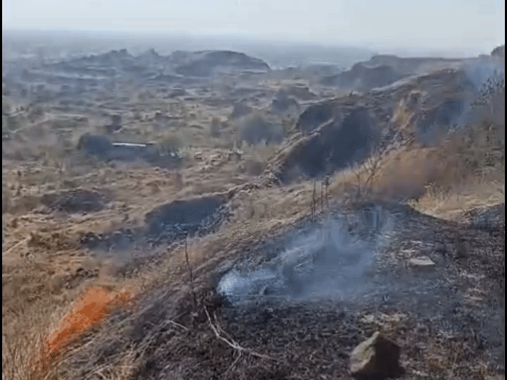 देवास में शंकरगढ़ पहाड़ी पर लगी आग:लाखों पौधे जले, सूखी घास से भड़की, शरारती तत्वों पर आगजनी करने का शक