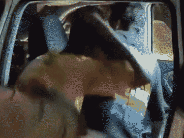 उज्जैन में चाकू के साथ 2 युवक गिरफ्तार:नर्सिंग कॉलेज हॉस्टल के पास से पकड़ाए; 2 चाकूबाजी की घटनाओं के बाद की कार्रवाई