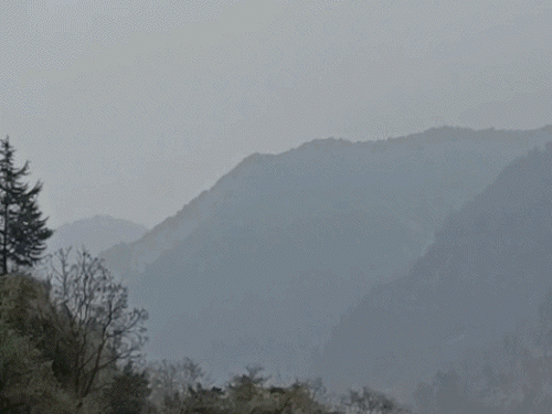 MP में मार्च में ही तापमान 40°C रहने का अनुमान:पंजाब-हरियाणा में पारा 32°C के पार, छत्तीसगढ़ में 35°C; उत्तराखंड में भी गर्मी में बढ़ोतरी