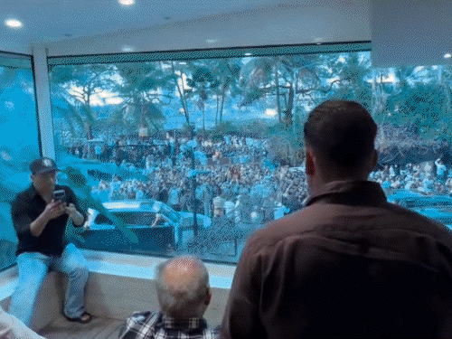 सलमान खान ने फैंस को ईद की मुबारकबाद दी:सलीम खान भी रहे मौजूद, इस खास मौके आमिर खान से मिलने राज ठाकरे पहुंचे