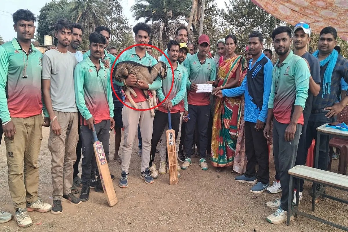 Cricket Match: विजेता टीम को मिला बकरा और 20 हजार रुपए नगद, उपविजेता के हाथ आया बड़ा सुअर
