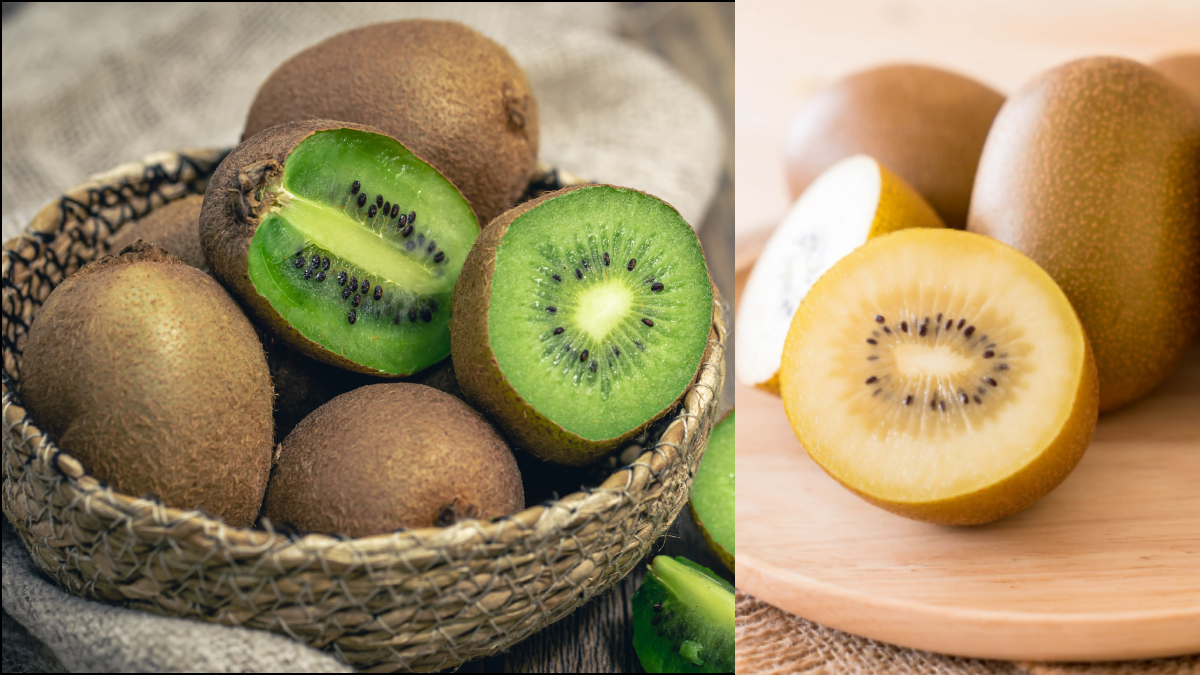 हरी या पीली कौन सी कीवी ज्यादा फायदेमंद होती है, किसका स्वाद ज्यादा मीठा होता है, जान लें दोनों में  क्या अंतर है