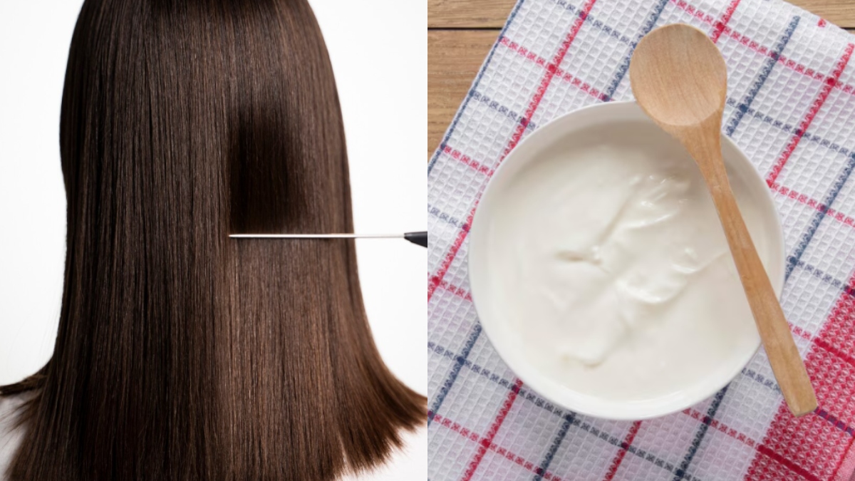 रुक गई है बालों की लंबाई, तो करें दही का इस्तेमाल, कैसे बनाएं नेचुरल हेयर मास्क