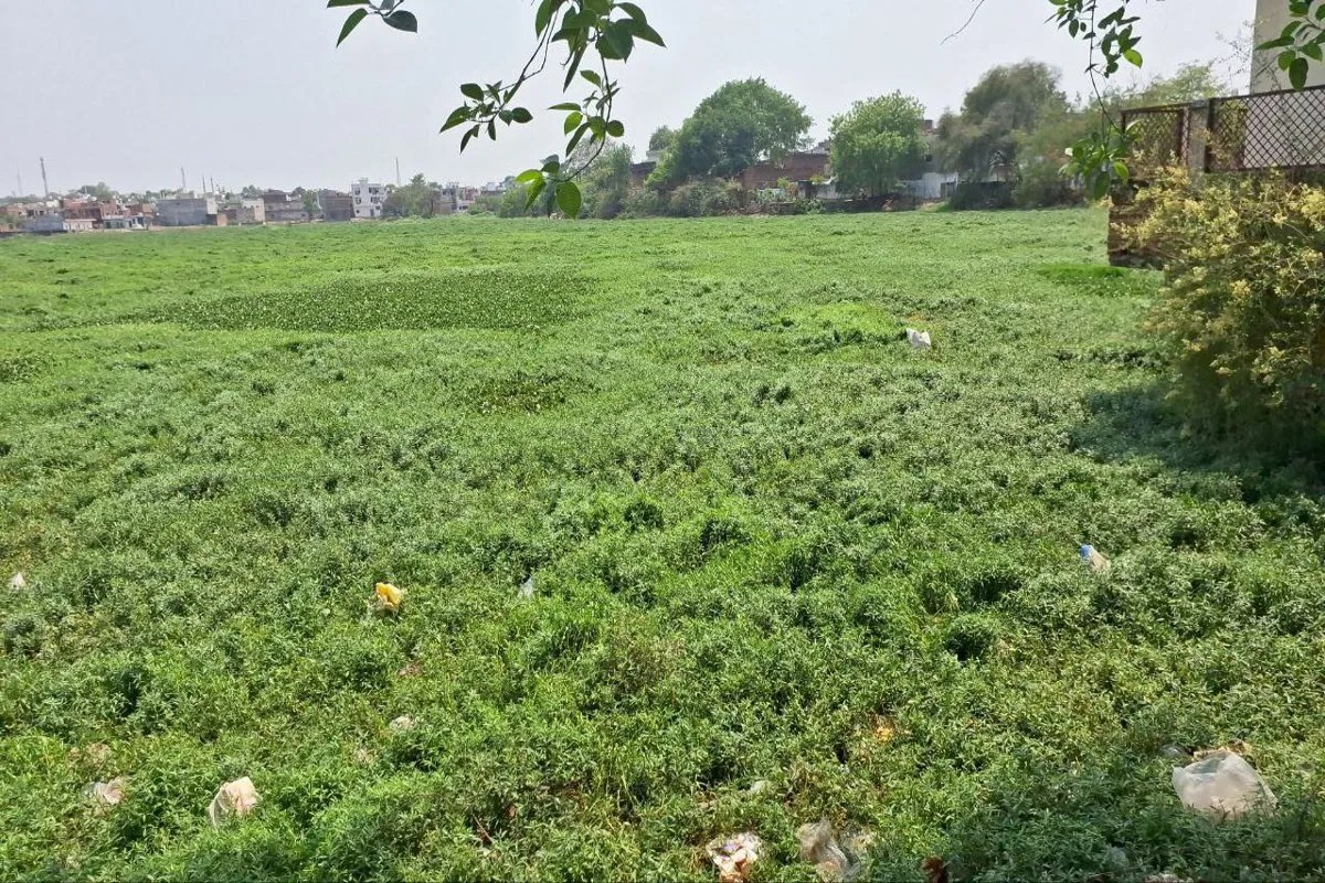 जल गंगा संवर्धन के नाम पर छतरपुर में फिर शुरू हुआ फोटो सेशन का दौर, कागजों पर चमक रहे जल स्रोत