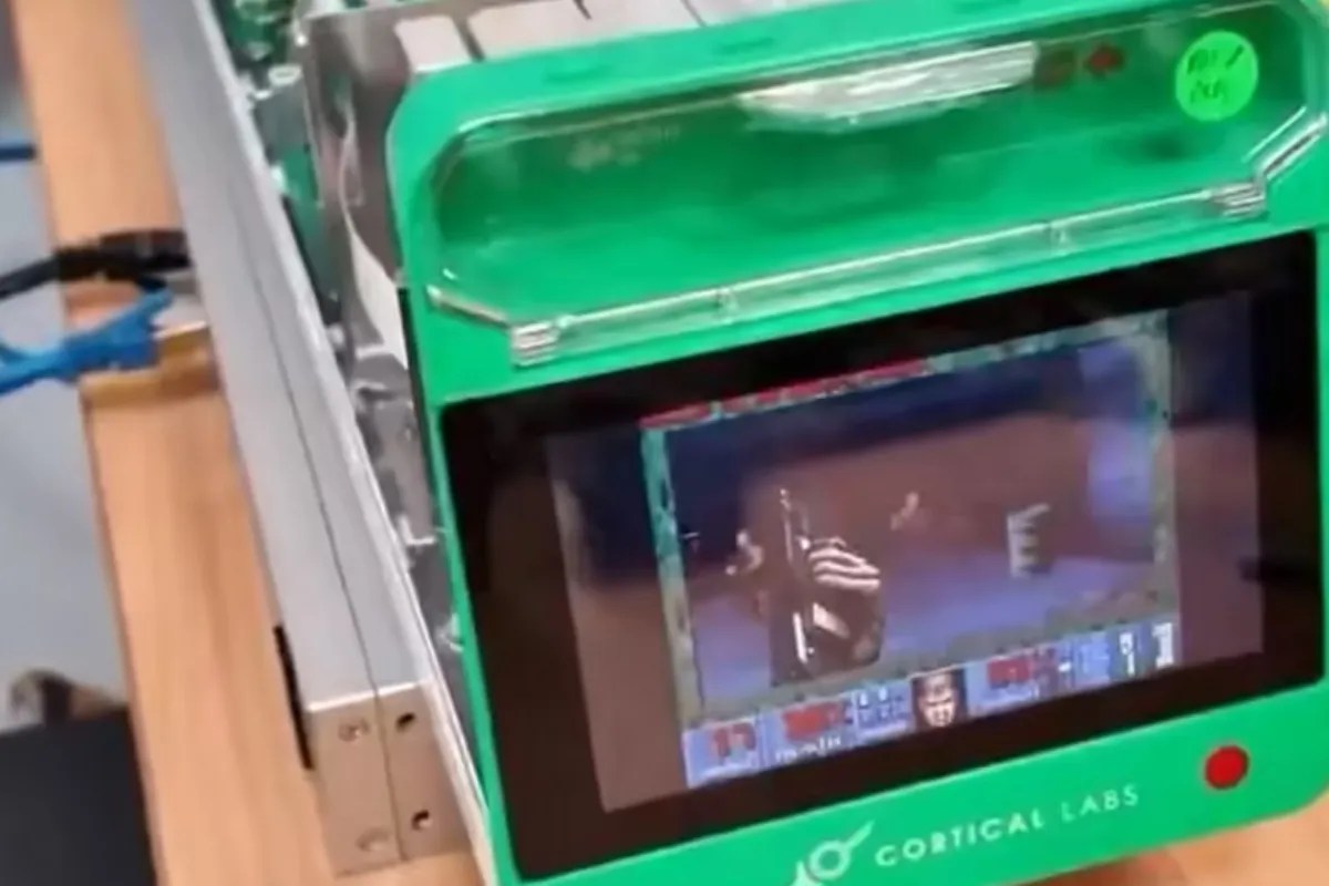 कांच की डिश में तैरते ‘दिमाग’ ने खेला 3D वीडियो गेम, 8 लाख मस्तिष्क कोशिकाओं से अनूठा प्रयोग