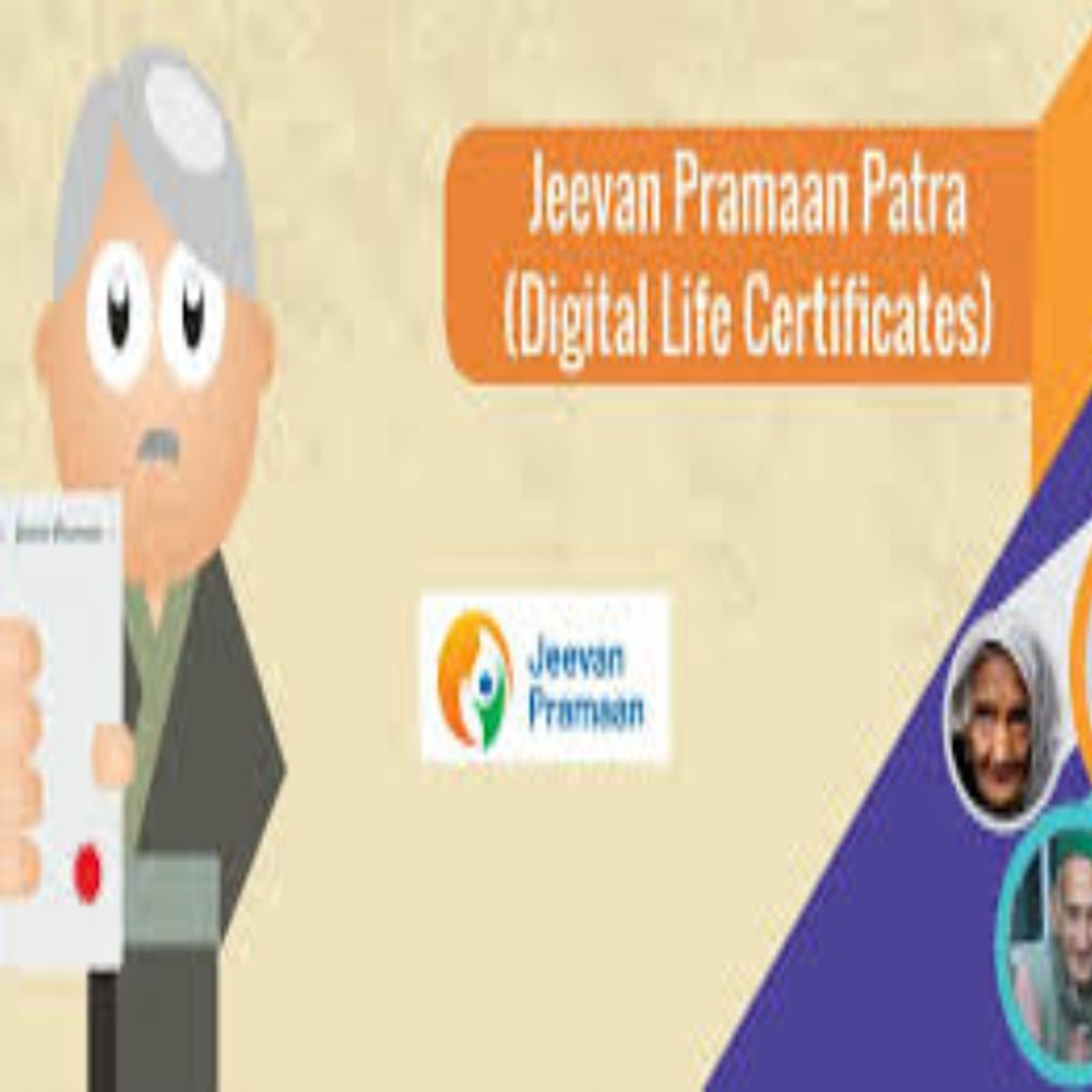 निराश्रित पेंशनधारकों के लिए डीएलसी सत्यापन सुविधा:घर बैठे मोबाइल से करें वेरिफिकेशन, प्रोसेस पूरा नहीं करने पर आ सकती है दिक्कतें