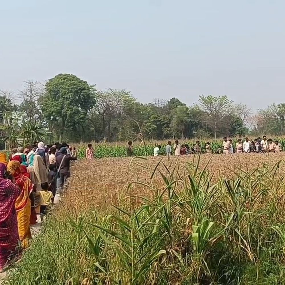 समस्तीपुर में अज्ञात युवक की खेत में मिली लाश:हत्या के बाद लाश ठिकाने लगाने की आशंका, केमिकल से चेहरा जलाया