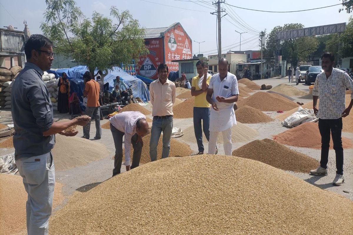 पांच दिन बाद खुली मण्डी, जिंस लेकर पहुंचे किसानों की लगी कतारें