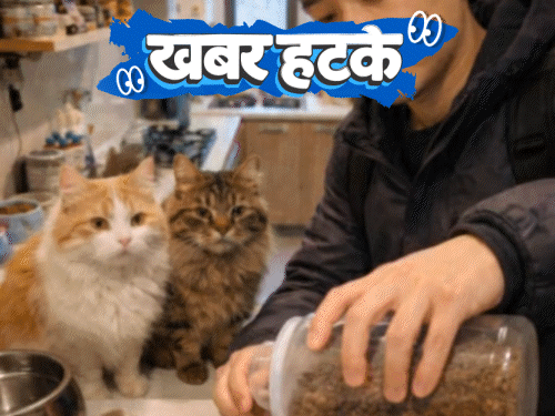खबर हटके- बिल्ली को खाना खिलाकर लाखों की कमाई:कुंवारों के साथ दालचीनी वाली होली की परम्परा; गिलहरी ने शहर का इंटरनेट ठप कर दिया