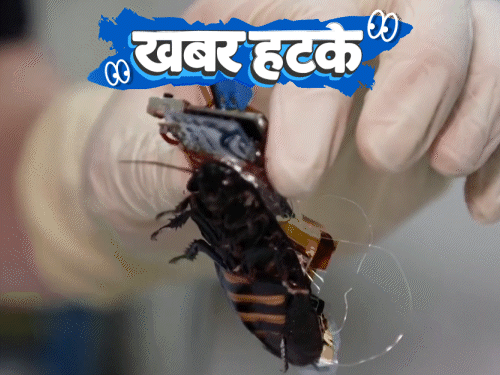 खबर हटके- आपदा में इंसानों को बचाएंगे कॉकरोच:झारखंड में मिला जमीन में दबा अमेरिकी बम; लग्जरी कार कंपनी ने लॉन्च की ₹28 लाख की साइकिल