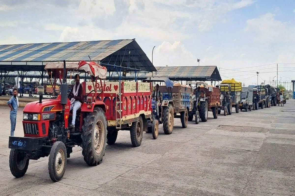 समर्थन मूल्य 2026 : मंडी में गेहूं के भाव 655 रुपए कम, 85000 क्विंटल आवक घटी