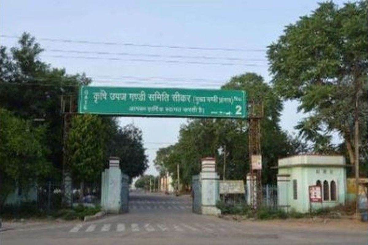 विदेशी संकट से चमकी सरसों: समर्थन मूल्य से ज्यादा भाव