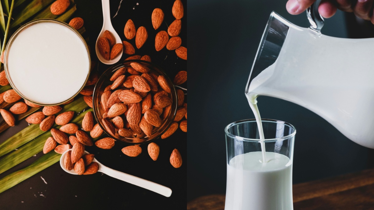 डेयरी प्रोडक्ट्स से है एलर्जी? डाइट में शामिल करें Almond Milk, जानें घर पर कैसे बनाएं?