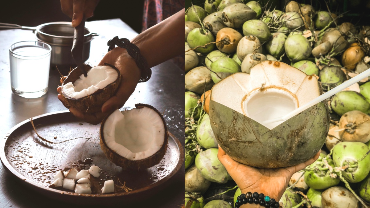 घर पर ही कच्चे नारियल से मिनटों में निकालें मलाई, यह आसान ट्रिक बचाएगी घंटों की मेहनत