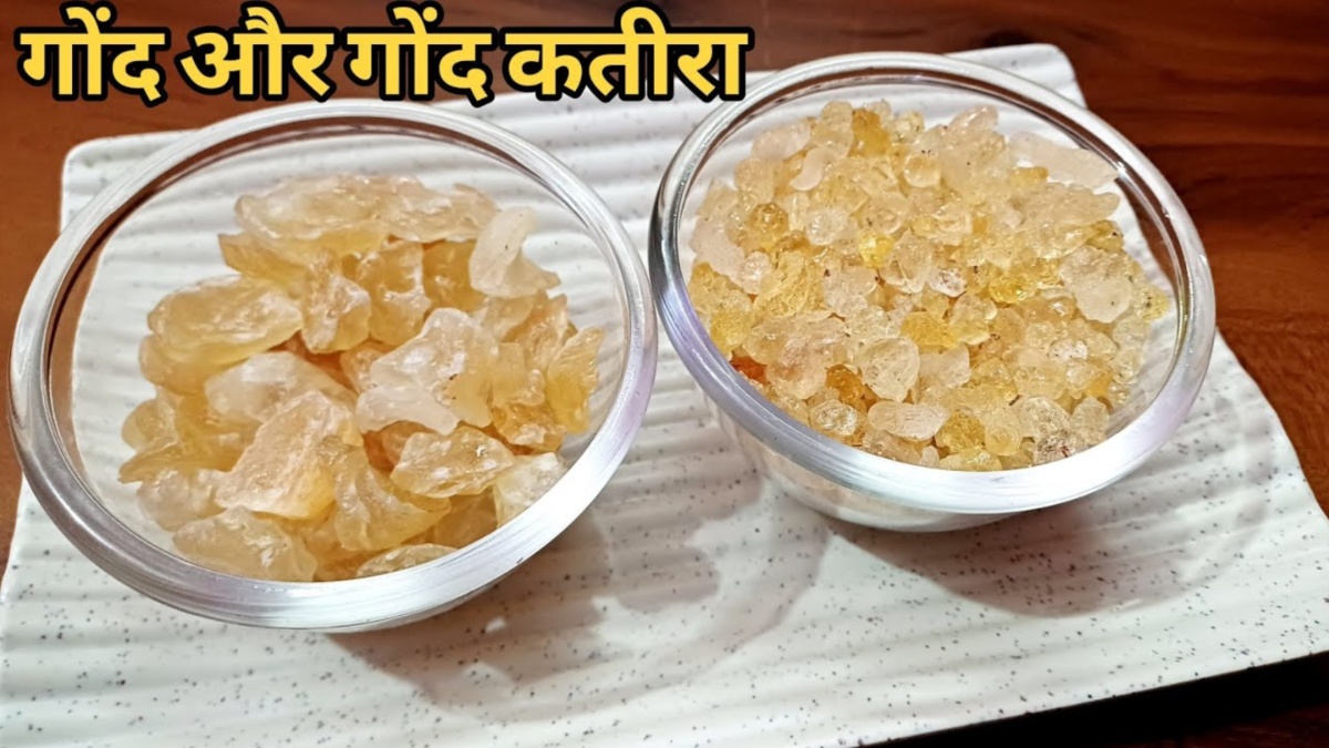 गोंद कतीरा और गोंद में क्या है अंतर? जानें गर्मी के मौसम में किसका सेवन है फायदेमंद और कैसे करें पहचान