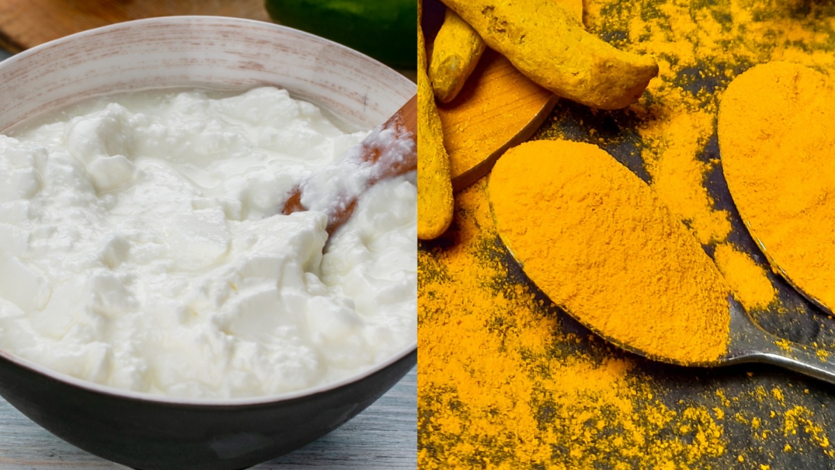 दही में चुटकीभर हल्दी मिलाकर चेहरे पर लगाने से क्या होता है? जानें यह कॉम्बिनेशन स्किन के लिए है कितना फायदेमंद?