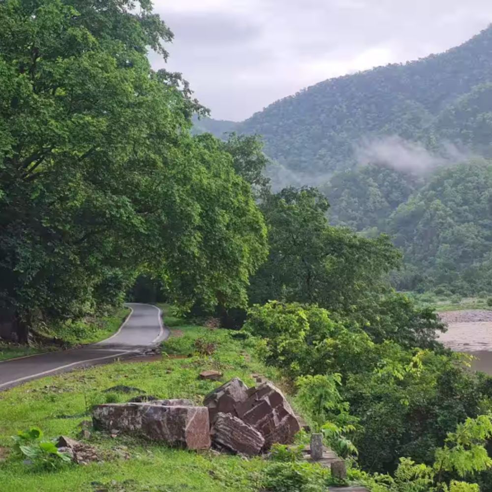 नाकों पर तैनात नहीं अधिकारी:511 वर्ग में फैली फुलवारी की नाल सेंचुरी की सुरक्षा में कमी, खाली पड़े कई वनकर्मी पद, कैसे होगी निगरानी