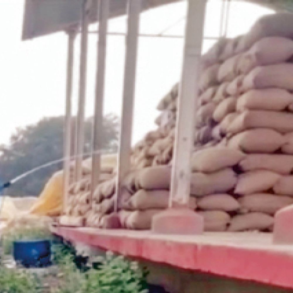 धान भिगोकर बढ़ा रहे थे वजन, वीडियो वायरल होने पर जांच, 4 कर्मचारी बर्खास्त