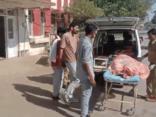 प्रतापगढ़ में हादसे में पति-पत्नी समेत तीन की मौत:मुर्गियां ले जा रही पिकअप ने बाइक को टक्कर मारी, खेत में पलटी; ड्राइवर घायल