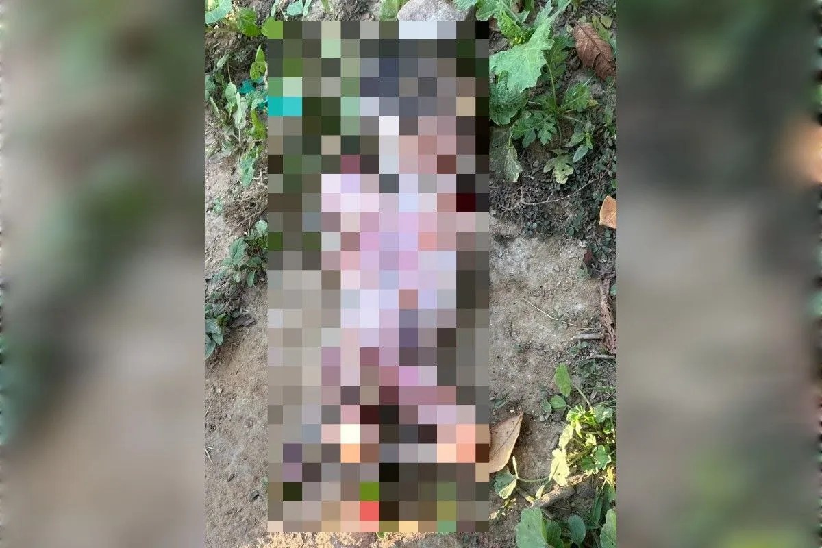 खैरथल में कूड़े के ढेर में मिला नवजात शिशु, कुत्तों से छुड़ाकर अस्पताल पहुंचाया; डॉक्टरों ने मृत घोषित किया