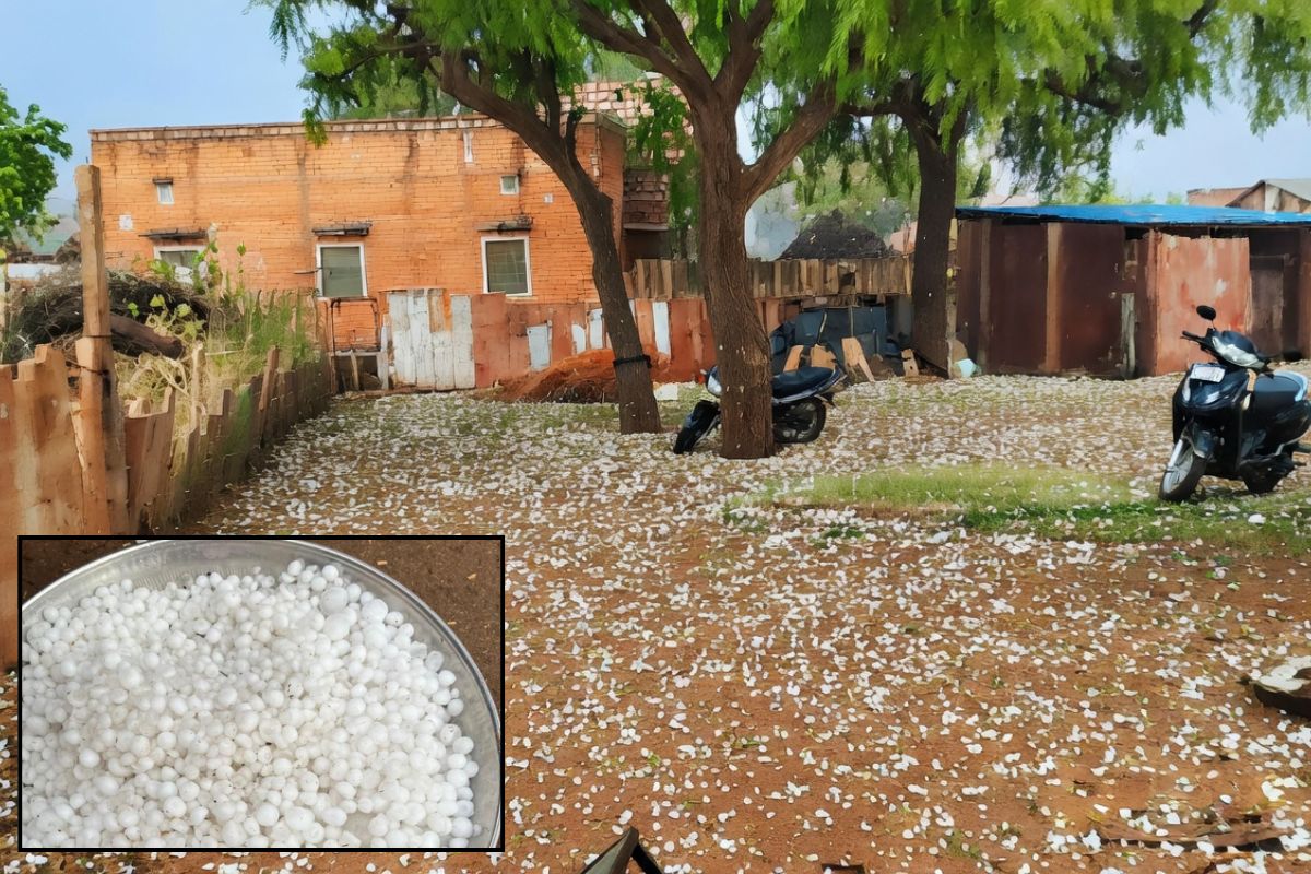 Rajasthan weather update : राजस्थान में यहां बारिश के साथ ओलावृष्टि, खेतों में बिछी सफेद चादर