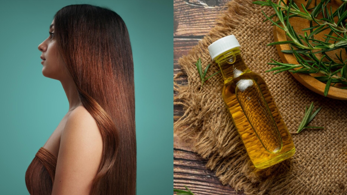 बालों की लंबाई बढ़ानी है, तो कैसे लगाएं रोजमेरी ऑइल, कुछ ही हफ्तों में दिखने लगेगा असर