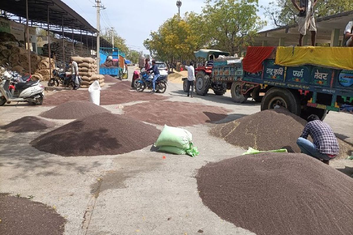 समर्थन मूल्य केन्द्रों पर गेहूं खरीद 16 मार्च से होने की उम्मीद