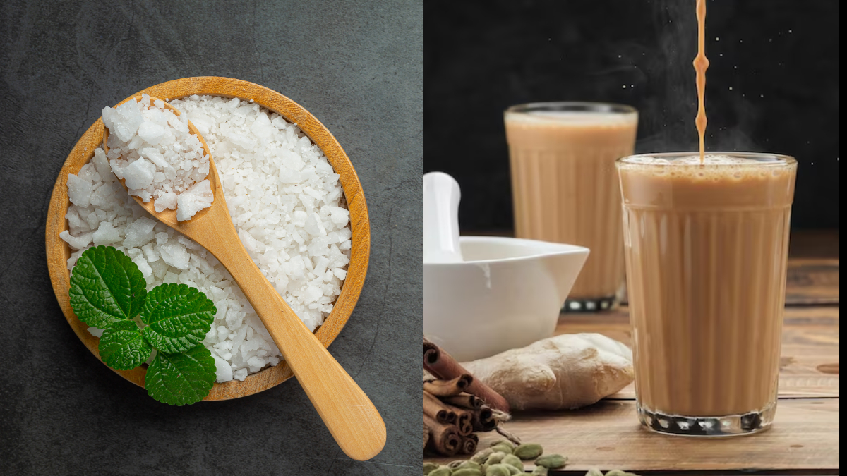 स्टीविया की चाय कैसे बनाएं, बिना चीनी के बनेगी एकदम मीठी चाय, जान लें Stevia के फायदे