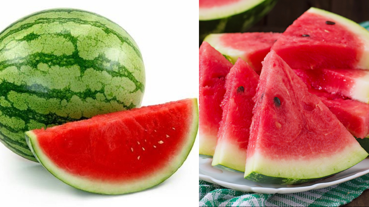 मीठे तरबूज की पहचान कैसे करें, काटने पर अंदर से निकलेगा सुर्ख लाल, खरीदते वक्त इन टिप्स को जरूर करें फॉलो