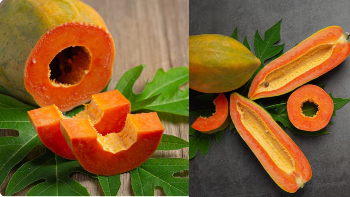 बिना काटे इस तरह करें मीठे पपीते की पहचान, जान लें आसान तरीका