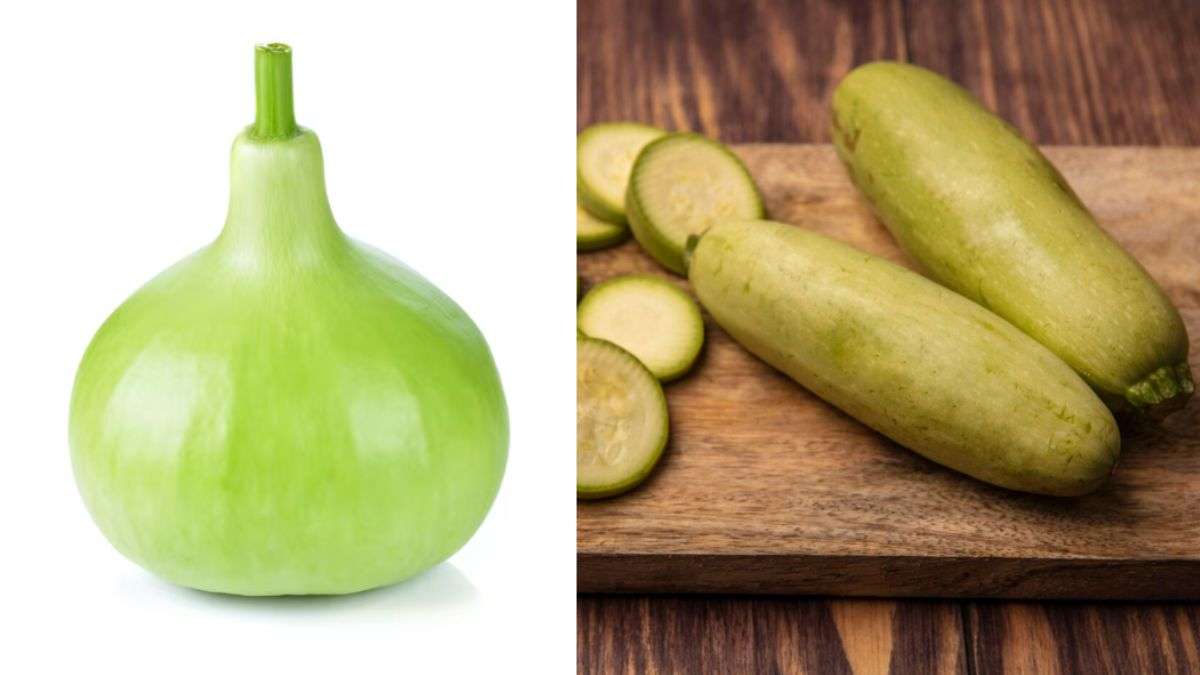लंबी या गोल लौकी, जान लें कौन है स्वाद, सेहत के लिए बेस्ट