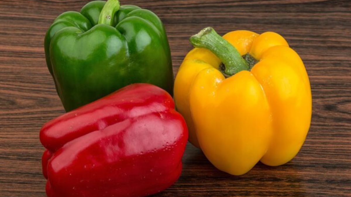हरी, लाल और पीली शिमला मिर्च में क्या अंतर होता है? कौन सी ज्यादा फायदेमंद होती है?
