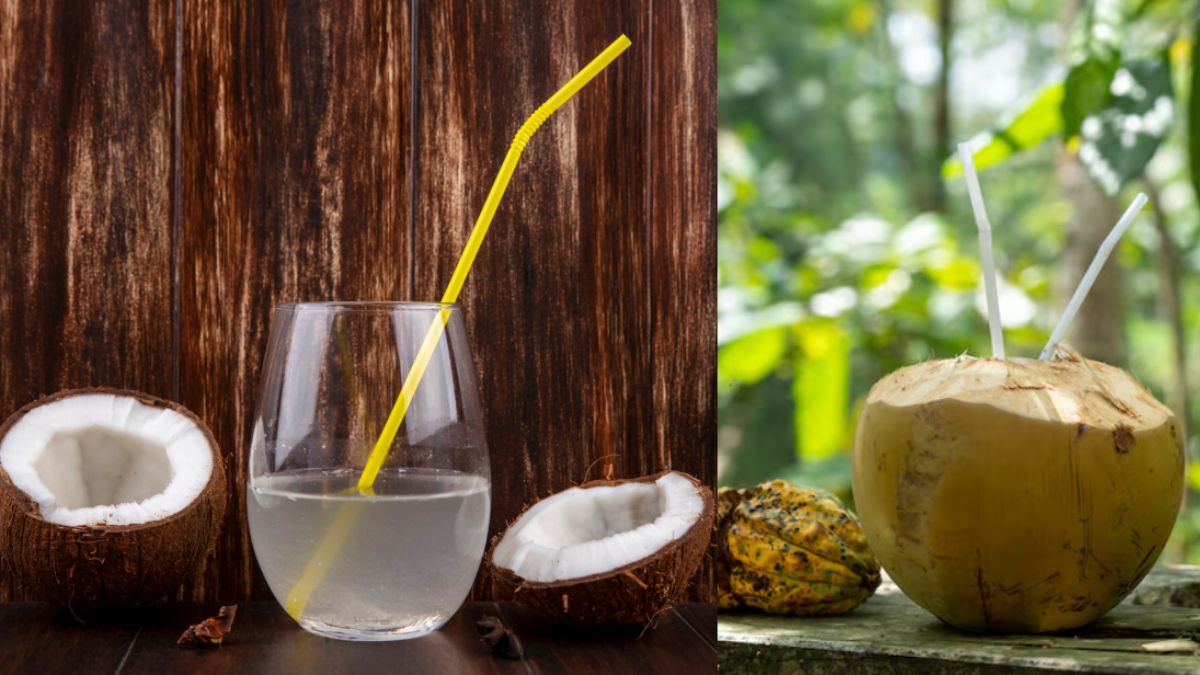 बिना फाड़े इस ट्रिक से पता करें नारियल में मलाई है या पानी, देखते ही हो जाएगी मलाईदार Coconut की पहचान