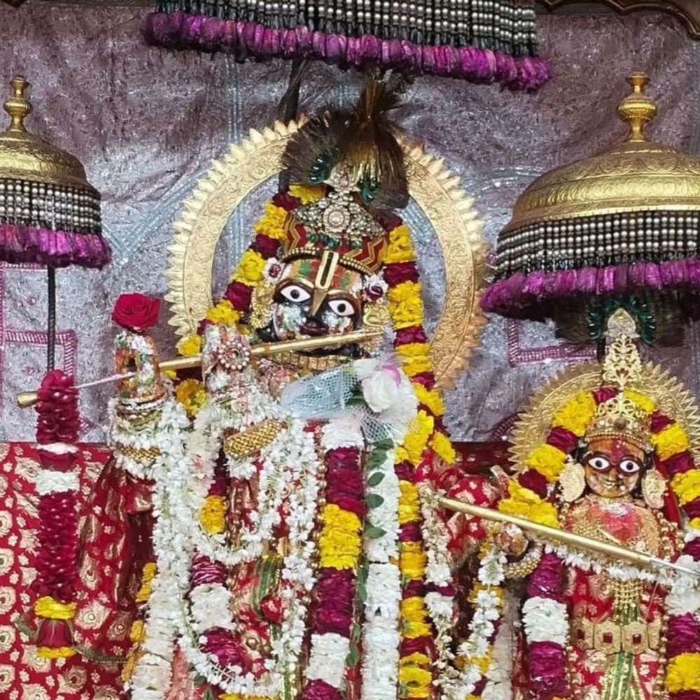 गोविंददेवजी मंदिर में होली उत्सव, फूल और गुलाल चढ़ाया:भक्त चंग की थाप और होली के गीतों पर खेलेंगे रंग; जानिए- दर्शनों का समय