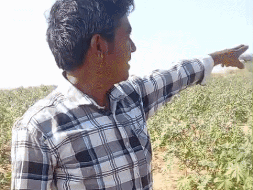 जालोर में लेपर्ड की मूवमेंट से दहशत:रात में खेत में रखवाली कर रहे युवक को दिखा, पगमार्ग मिले