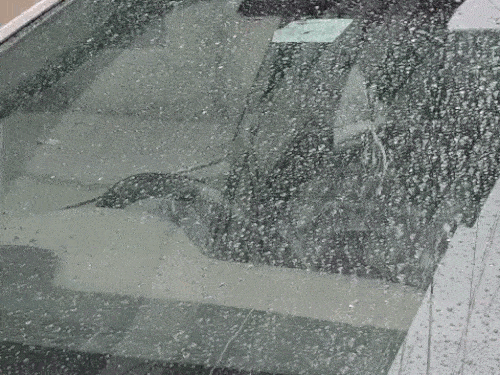 जालंधर में आधा घंटा तेज बारिश:टेट का पेपर दिलाने आए पेरेंट्स भीगे, बारिश से बचने को पेड़ों का सहारा लिया, जाम भी रहा