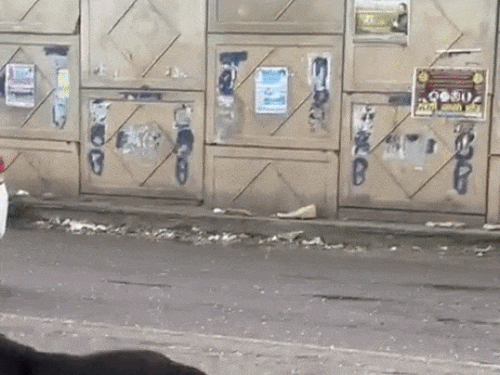 जालंधर में बारिश-ओले, 10 PHOTOS:गड्ढों में पानी भरने से आवाजाही में परेशानी, 6 डिग्री टेंपरेचर गिरा, दिनभर रुक-रुकर बारिश का अलर्ट